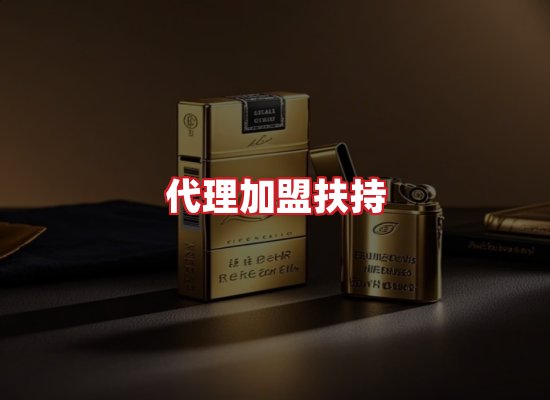 专业团队